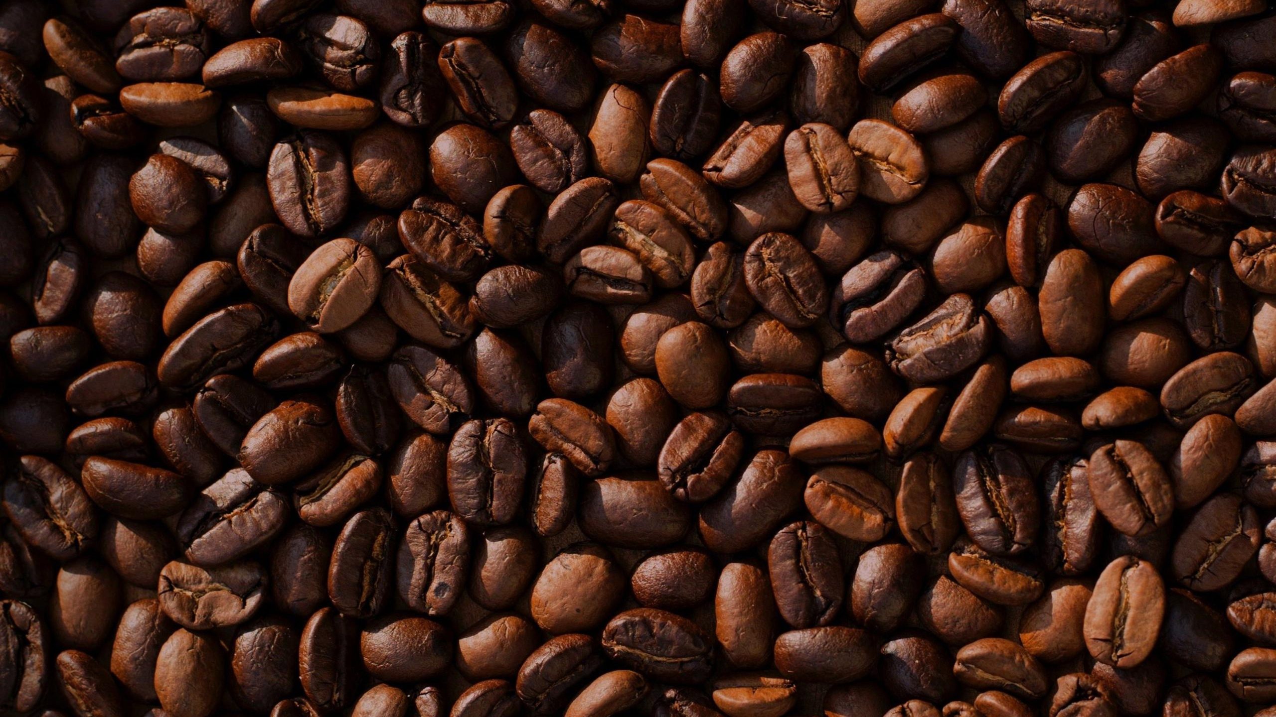 The history of coffee: where it originated, its uses