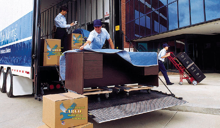 Employ professional movers to manage the relocation process  effectively